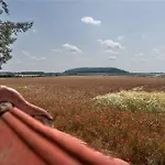 Fara Bosin Holiday home